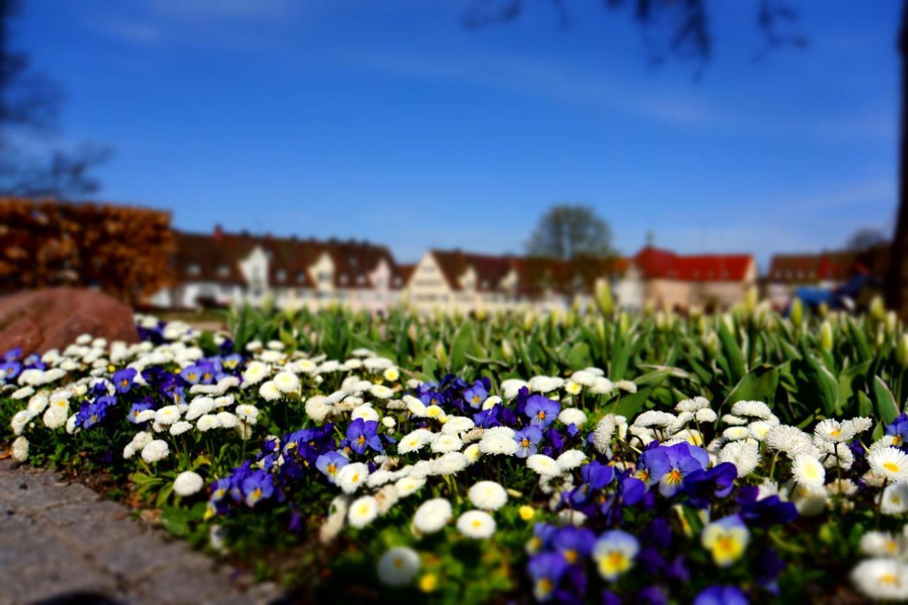 Fewo Schwarzwaldfreude Freudenstadt Ngoại thất bức ảnh